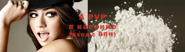 каннабис Коряжма
