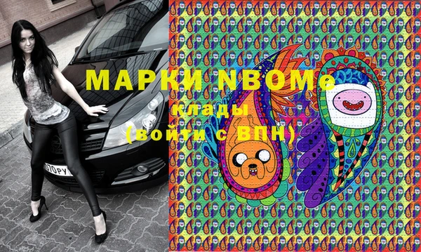 индика Сафоново