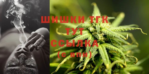 индика Сафоново