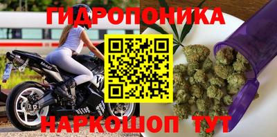 тгк Краснознаменск