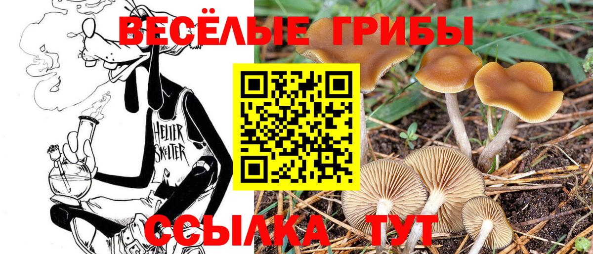 Псилоцибиновые грибы MAGIC MUSHROOMS Курчатов