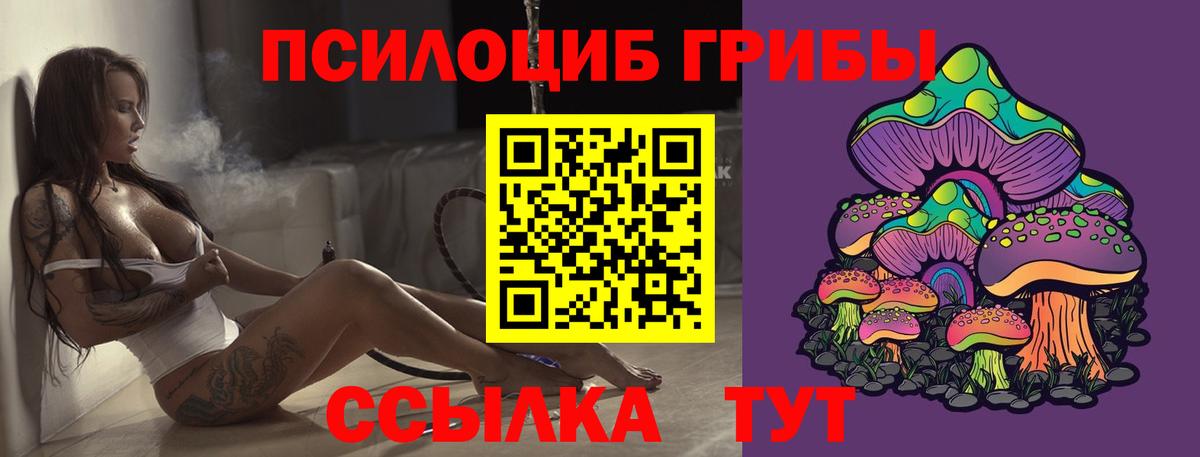 Псилоцибиновые грибы мухоморы  Псилоцибиновые грибы прущие грибы  Вход с VPN  Курчатов 